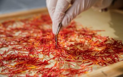 The most important standards of saffron