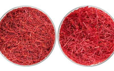 Sergol or Superngin saffron?