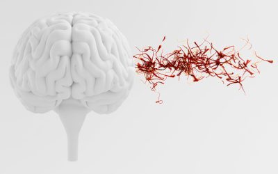 Properties of saffron for the brain and nerves + 3 practical recipes