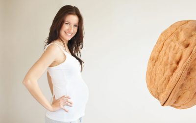 Properties of walnuts in pregnancy