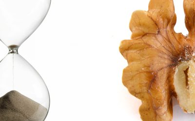 The best time to consume walnuts