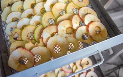 How to prepare and uses of dried apples