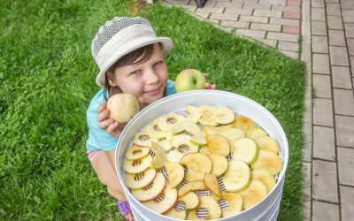 Properties of dried apples for children