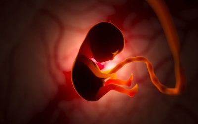 Abortion with saffron, 0 to 100 things you should know!