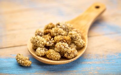 Properties of dried mulberry for weight loss