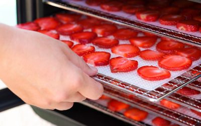 How to prepare healthy and nutritious dried strawberries