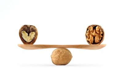 Properties and disadvantages of walnuts for the body