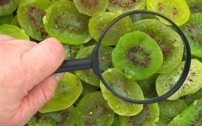 Properties of homemade dry kiwi to maintain body health