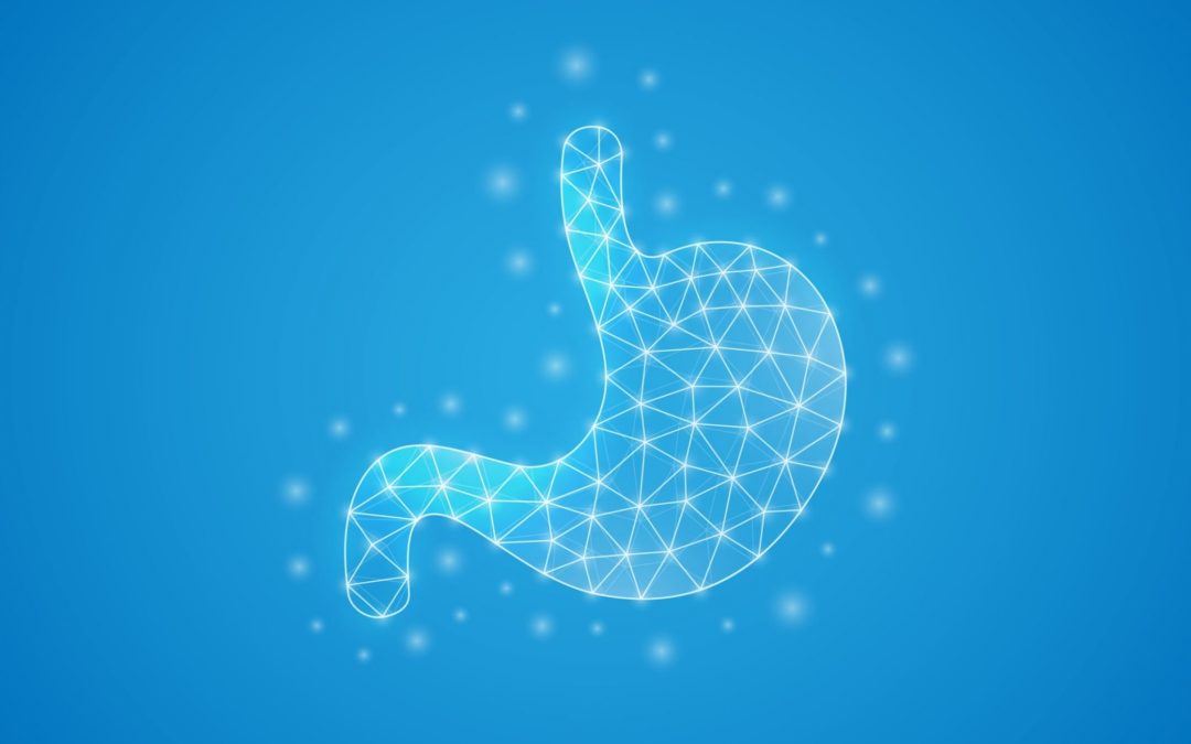 What are the properties of nuts for the stomach