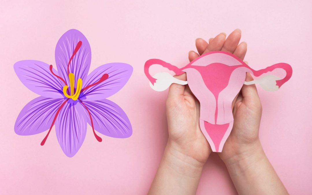 Properties of saffron for uterus and treatment of menstrual disorders