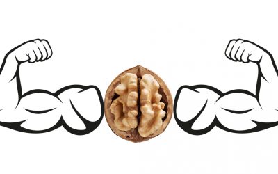 Properties of walnuts in bodybuilding