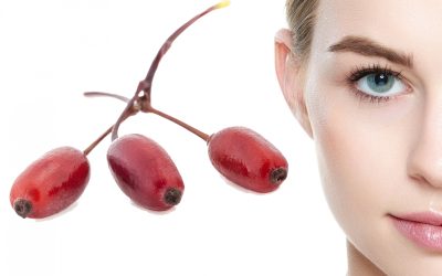 Barberry properties for the skin