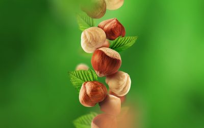 Everything you need to know about the properties of hazelnuts