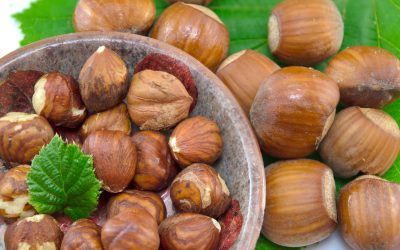 What factors affect the price of a hazelnuts