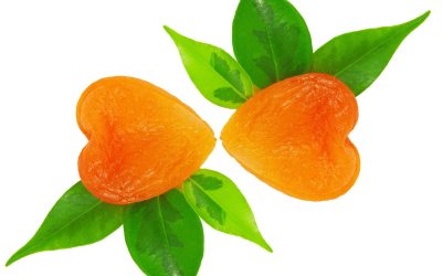Dried apricots calories 100g rich in nutrition and sweetness