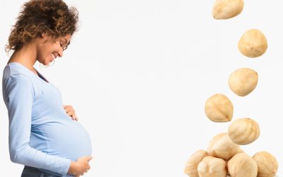 Properties of hazelnuts in pregnancy