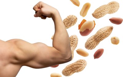 Properties of peanuts in bodybuilding