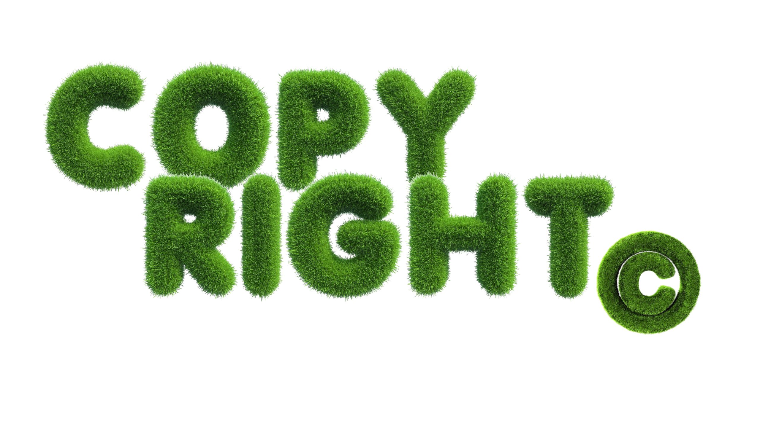 COPY RIGHT RIGHTS | BEST NUT, GOOD LIFE